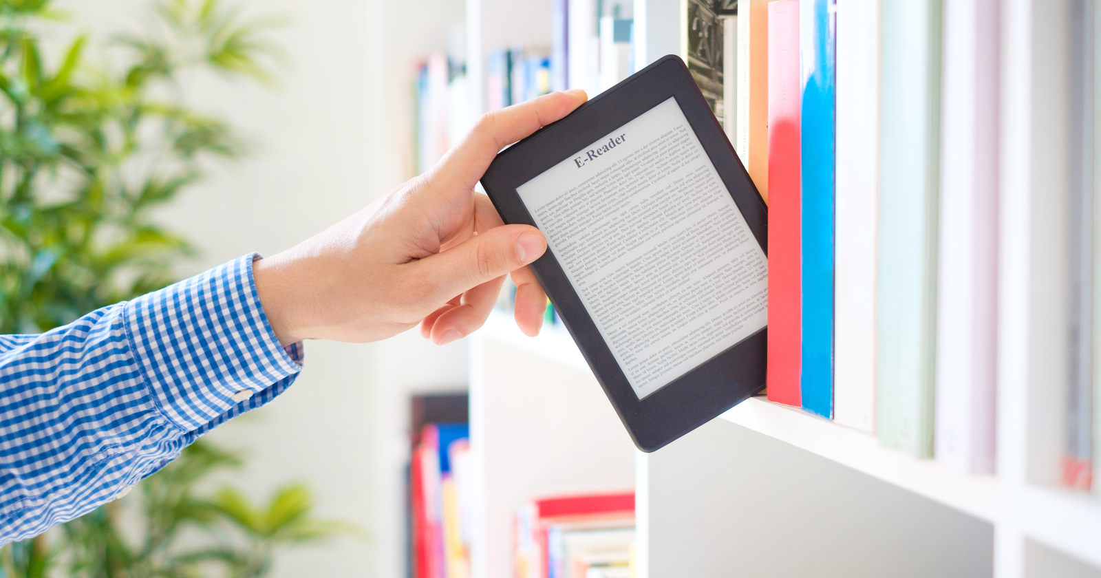 Set Up a Book or eBook