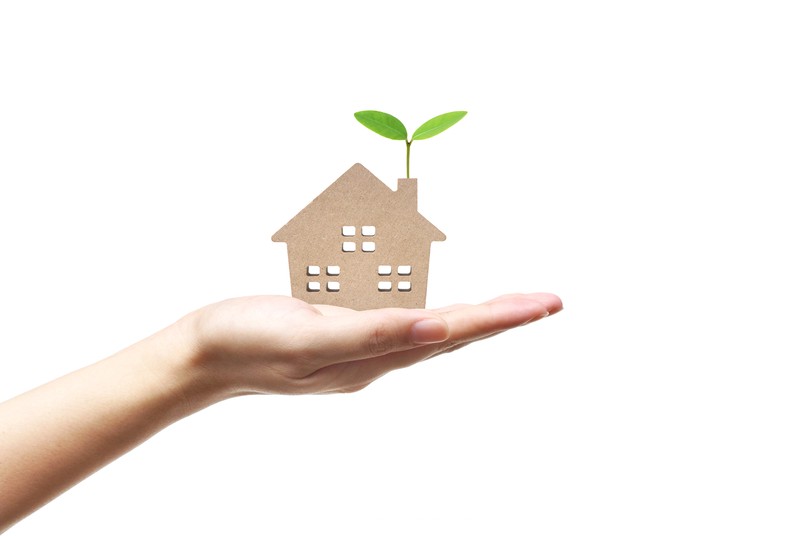 A hand holding a tiny house with a tiny plant