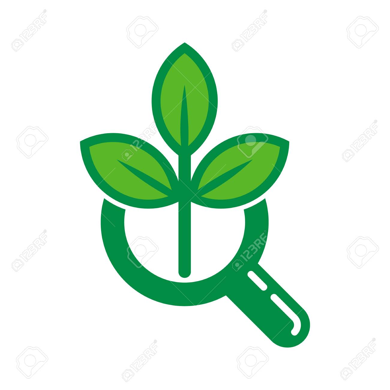 Search Nurture