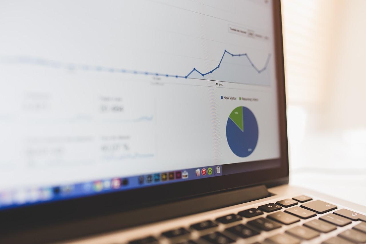 Google statistics result with pie and line graph