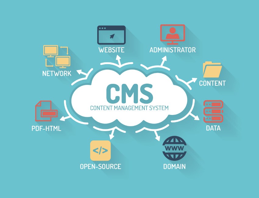 CMS infographics illustration