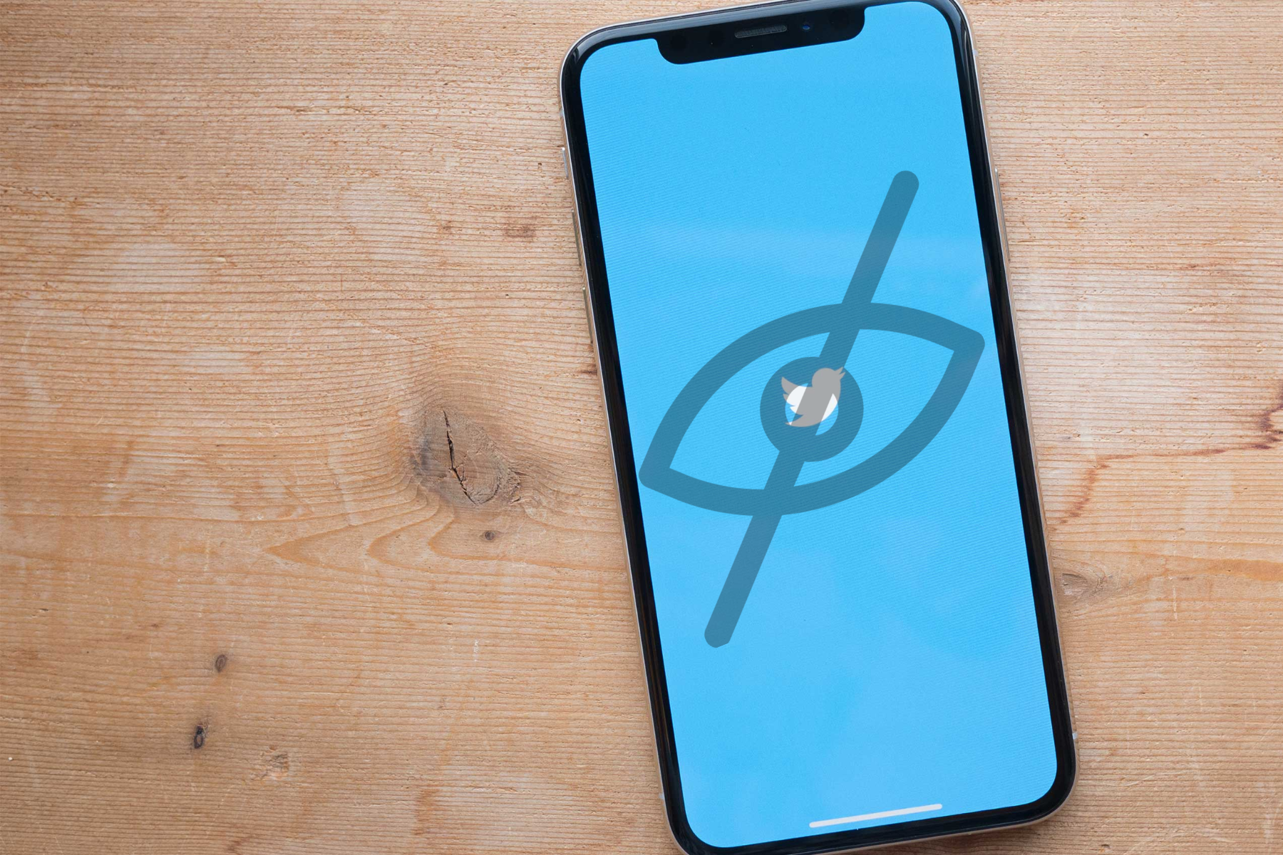 A Twitter iPhone with a sensitive logo