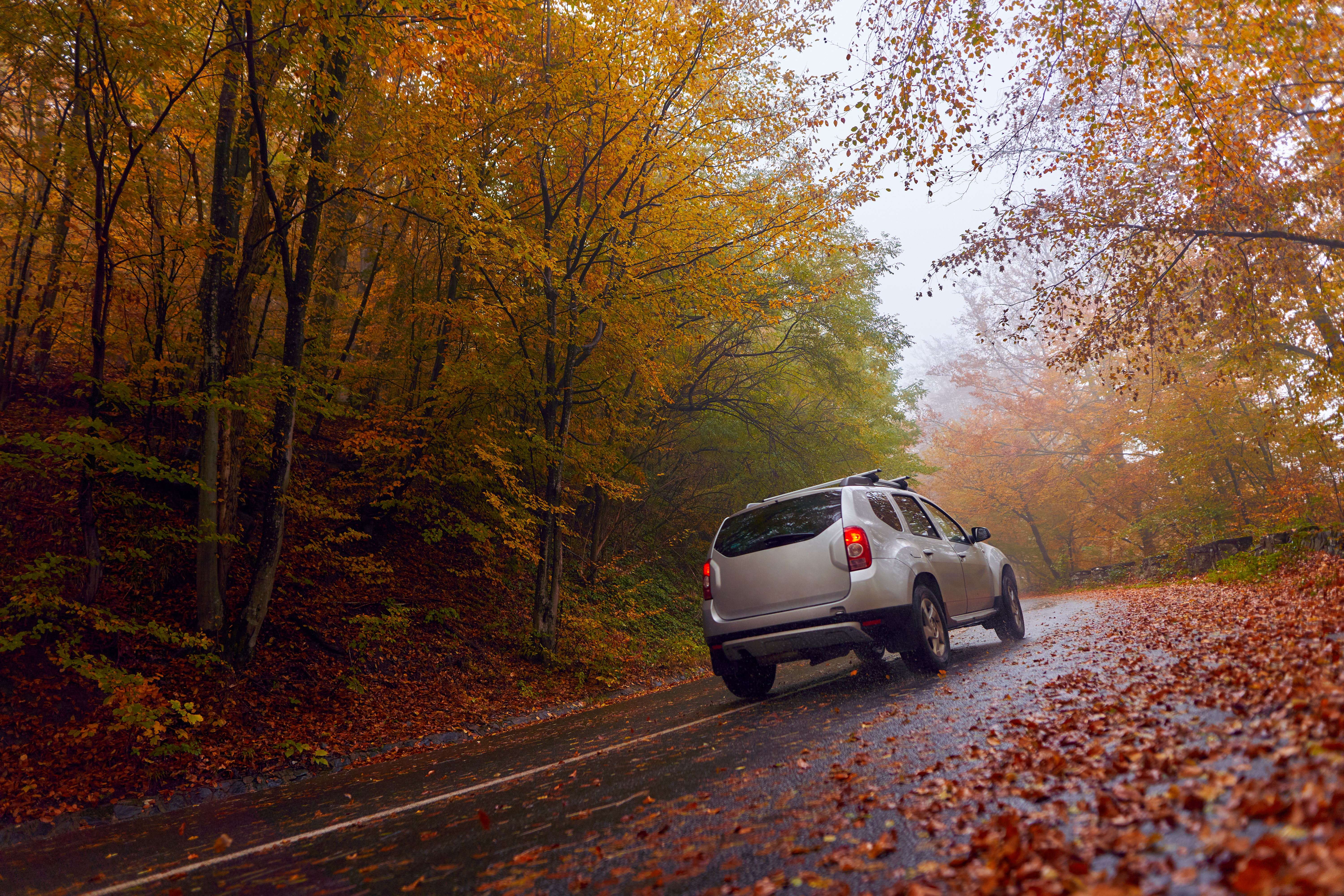 Car on a scenic drive