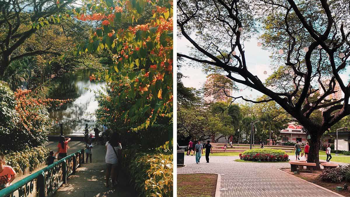 People exploring Public Parks And Gardens