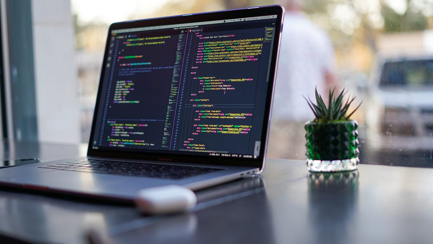 Javascript on a laptop with plant on the side