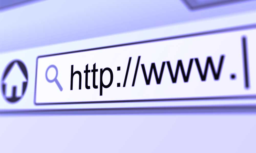 URL with WWW on a search bar