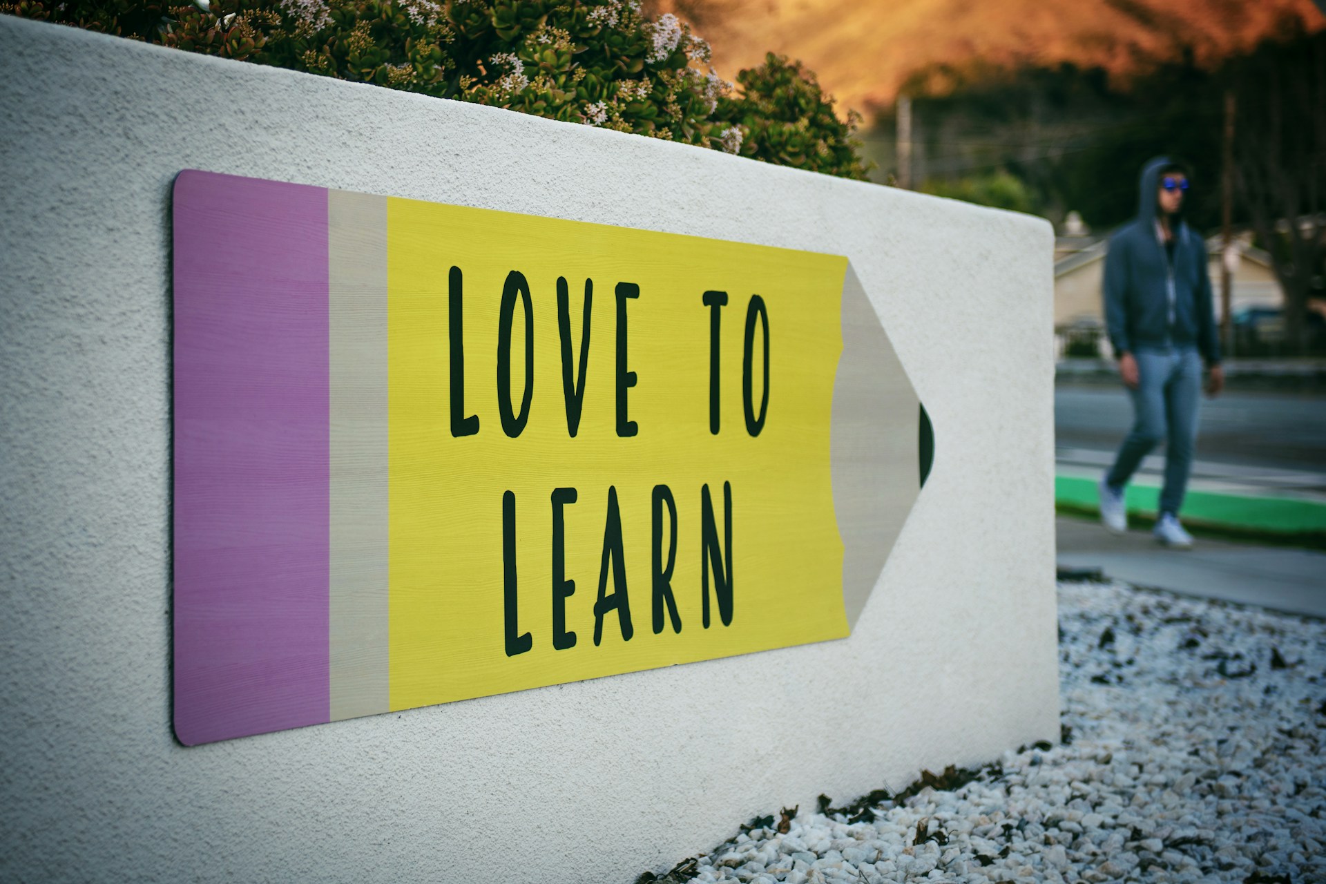 15 SEO Strategies For Educational Websites To Attract More Student Leads